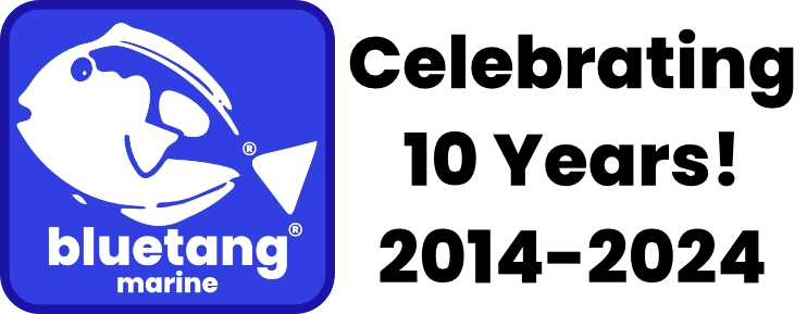 BLUETANGMARINE Logo