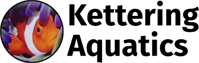 Kettering Aquatics
