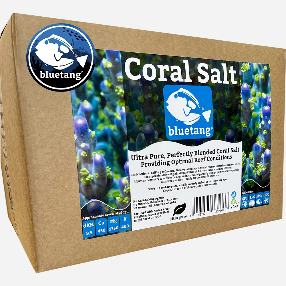 Bluetang Coral Salt